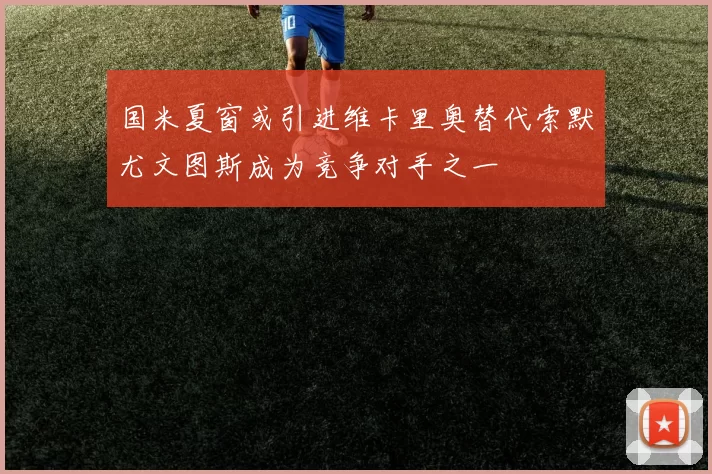 国米夏窗或引进维卡里奥替代索默尤文图斯成为竞争对手之一