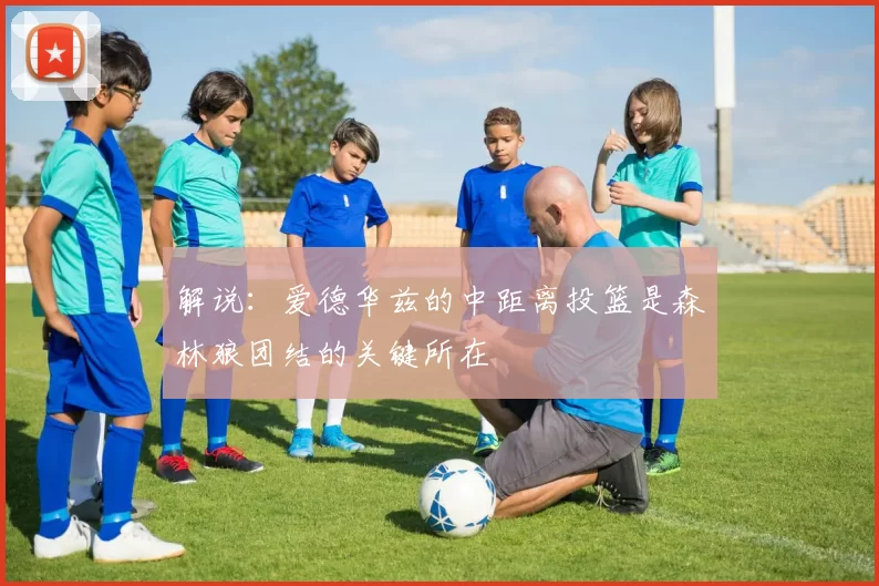 解说：爱德华兹的中距离投篮是森林狼团结的关键所在